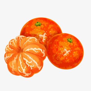 卡通插画橘子免抠