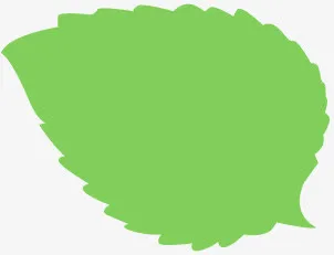 插画风格绿叶童装海报免抠
