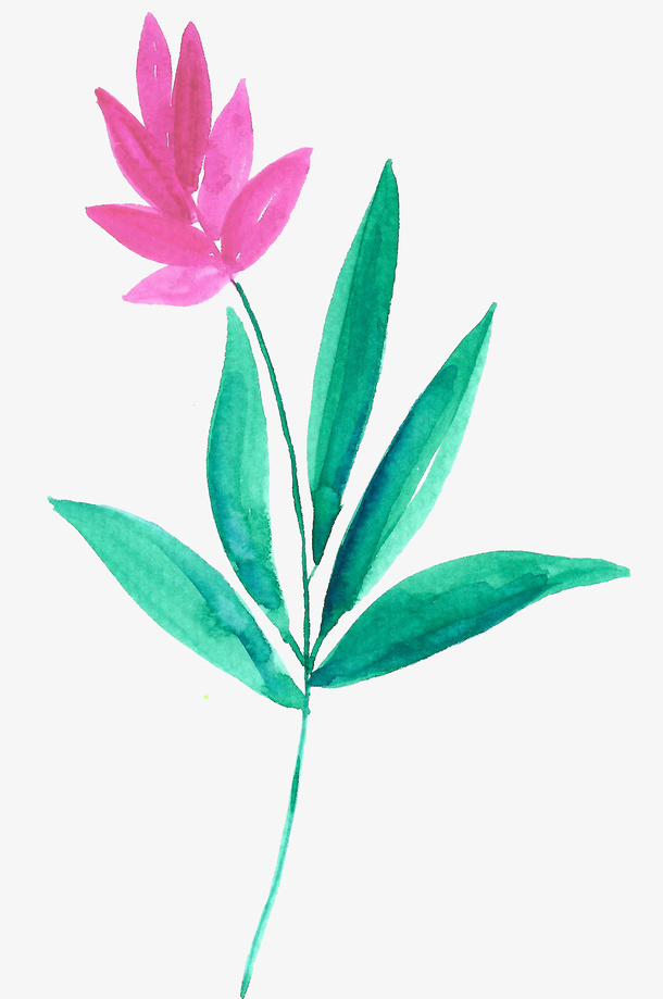 花卉植物免抠