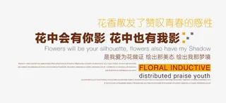 冬季英文文案简约排版免抠