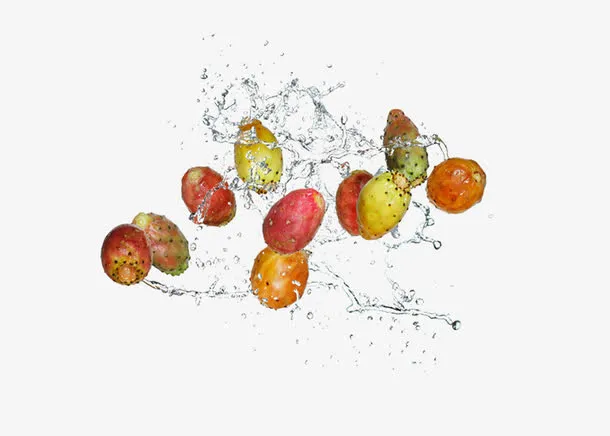 水中的仙人掌果实素材图片免抠
