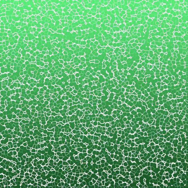 深绿色水泡底纹免抠