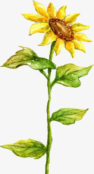 春天手绘黄色向日葵免抠