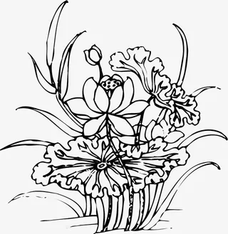 水生植物莲花免抠