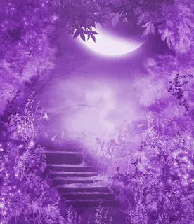 月光下的森林美景高清免抠 月光下的森林美景高清免抠