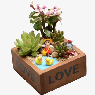 多肉组合盆栽免抠