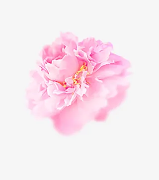 粉红色浪漫花团元素免抠
