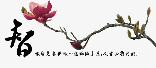 中国风创意智慧植物插画免抠