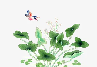 花鸟图中国风山水图片免抠