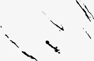 动物的脚印免抠