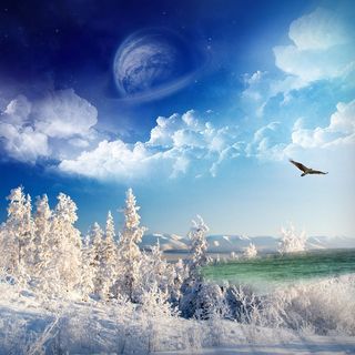 冬天雪地雄鹰翱翔背景高清