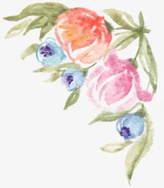 手绘郁金香免抠