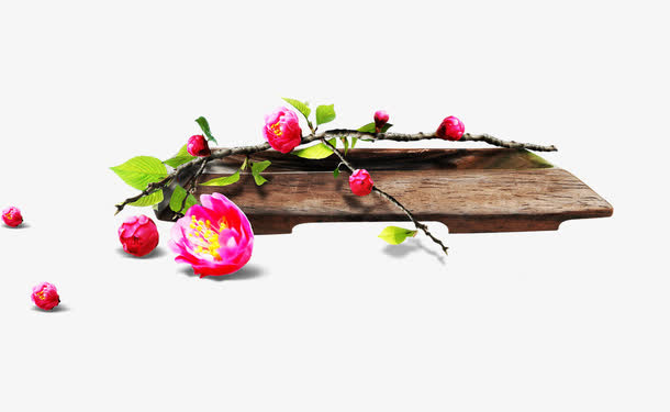 高清摄影效果红色桃花免抠