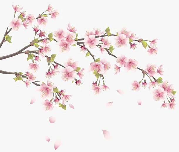 设计海报粉色花朵树枝免抠