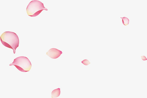粉色漂浮玫瑰花瓣免抠