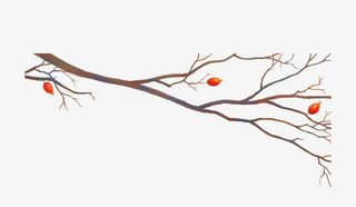 卡通春天树枝免抠