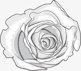 单线条花朵免抠