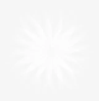 鲜花放射宣传海报免抠