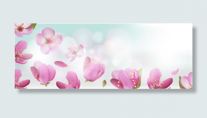 精美樱花banner背景