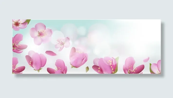 精美樱花banner背景