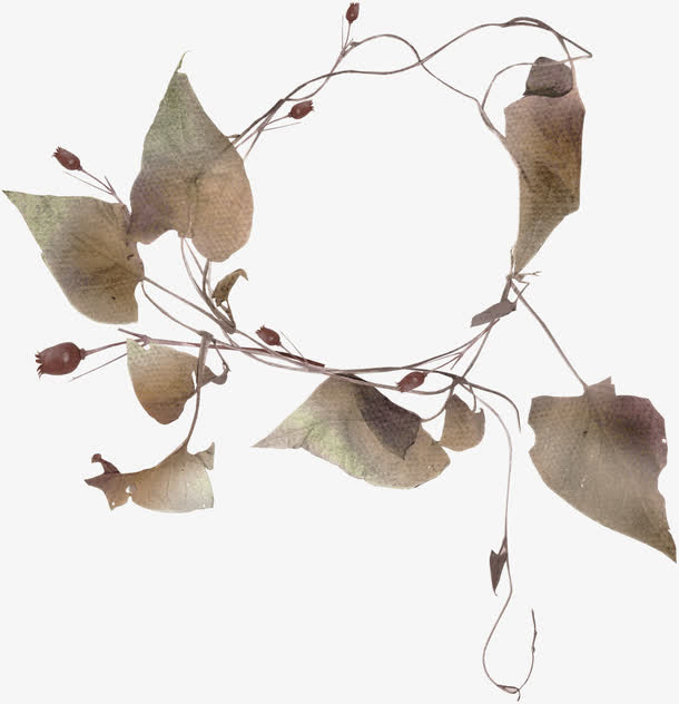 枯枝枯叶免抠