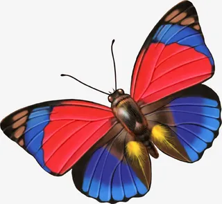 手绘质感公园的飞舞蝴蝶免抠