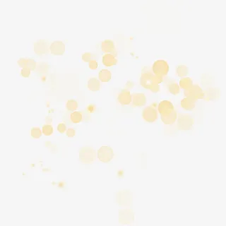 光光影光圈光线免抠