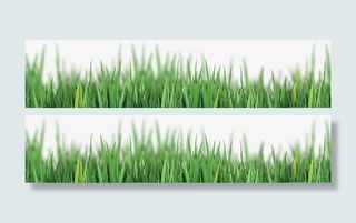 草坪素材免抠