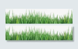草坪素材免抠