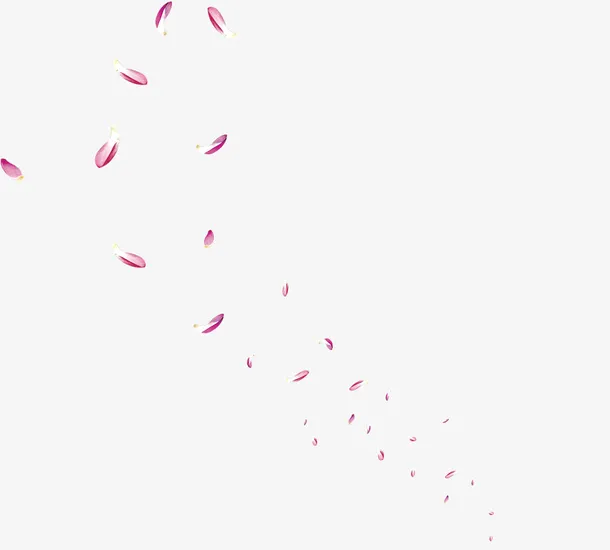 漂浮的红色花瓣免抠
