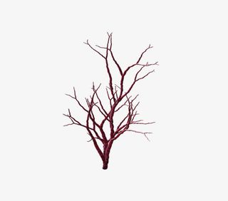 枯树枝免抠