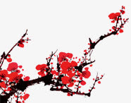 梅花免抠