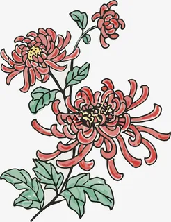 清新粉色花朵手绘菊花装饰元素图片免抠