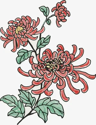 清新粉色花朵手绘菊花装饰元素图片免抠