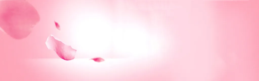 唯美玫瑰淘宝背景唯美高清