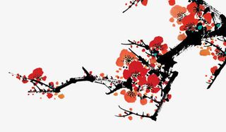 手绘树枝梅花免抠