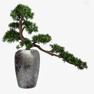 中式 ，盆景树，盆景，景观免抠