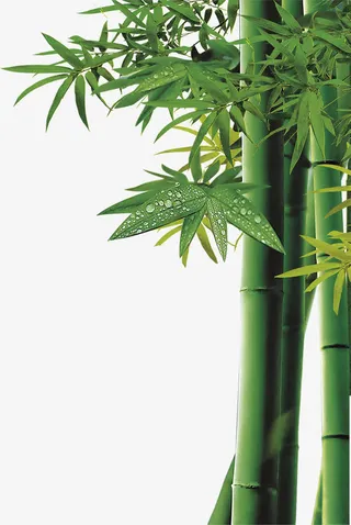 中秋节高清竹叶海报免抠