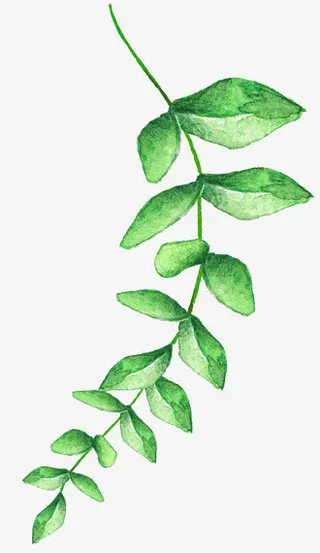 树枝树叶漂浮免抠