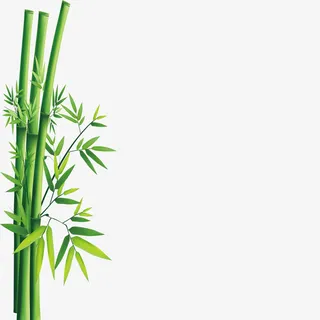 竹子免抠