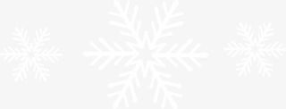 白色的雪花免抠
