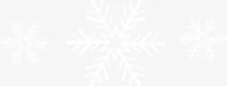 白色的雪花免抠