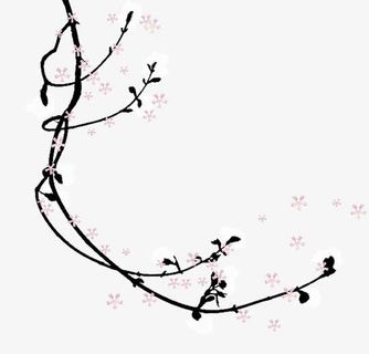 唯美梅花免抠