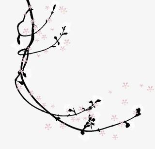 唯美梅花免抠
