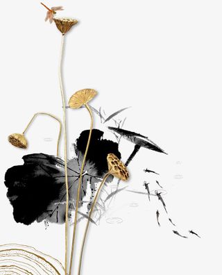 莲花，莲蓬，荷花，装饰，水墨免抠