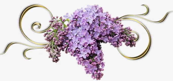 紫藤花花串免抠