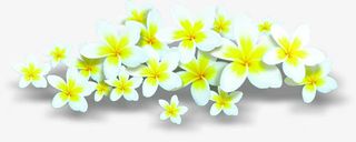 春天花朵美景草地免抠