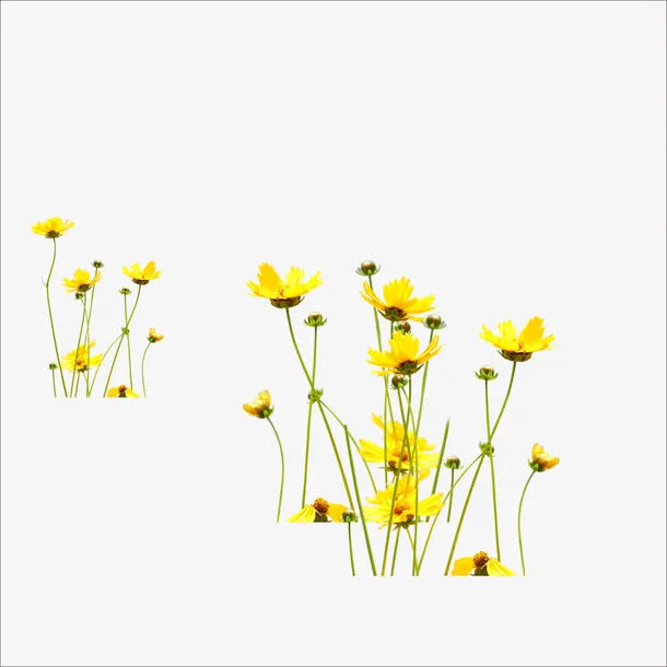 花免抠
