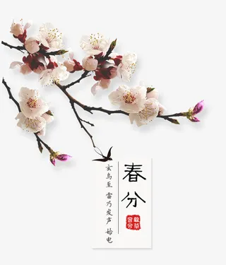 二十四节气春分梅花盛开主题免抠动植物植物元素