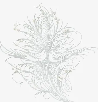 手绘白色线条相思鸟免抠